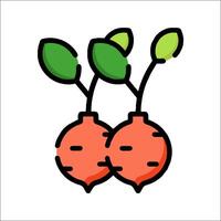 Two red radishes with leaves on them vector