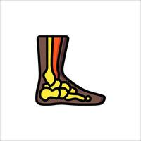The foot is shown in a cartoon style vector