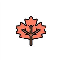 A maple leaf icon on a white background vector