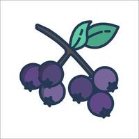 A blueberry icon with leaves and berries vector