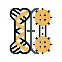 A dog bone and a bone with a cross on it vector