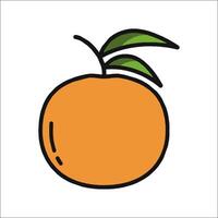 Orange fruit icon illustration vector