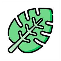 A green monstera leaf icon vector