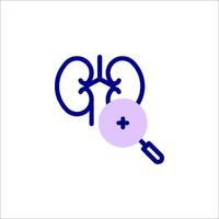 A blue icon of a kidney with a magnifying glass vector