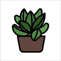 A potted plant in a pot on a white background vector
