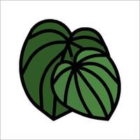 A green leaf icon on a white background vector