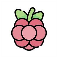 A raspberry is shown in a cartoon style vector