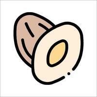 An almond is shown in a line drawing vector