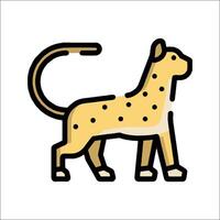 A cheetah is standing on a white background vector