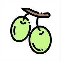 Two green olives on a branch vector