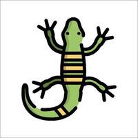 A lizard with a striped tail on a white background vector