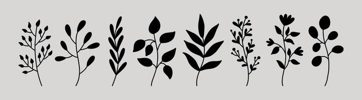 Botanical silhouette elements. Floral doodles. Set of abstract twigs with leaves of different shapes. Hand-drawn illustration. Perfect for cards, decorations, various designs. vector