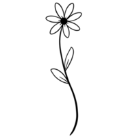 A black outline of a flower on a transparent background png