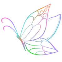 A rainbow outline of a butterfly png