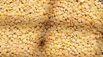 Soy, closeup of soybeans seeds, yellow soy bean video