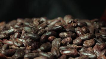 Roasted cocoa beans, closeup of cocoa video