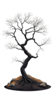 Bare tree with twisted branches in artistic style on transparent background png
