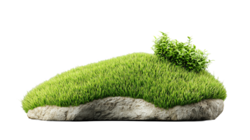 Small patch of green moss on gray rock on transparent background, symbolizing nature and simplicity png