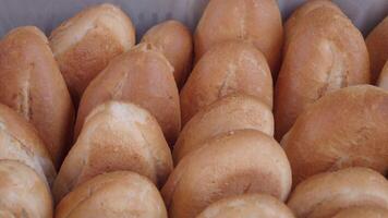 Freshly Baked Bread Rolls Delightfully and Beautifully Arranged in an Elegant Display Case video
