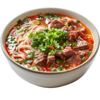 A bowl of beef and noodles with a side of green onions png