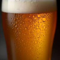 a full glass of beer with bubbles on the top. photo