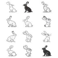 A set of black and white drawings of rabbits vector