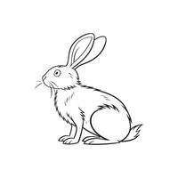 A rabbit is sitting in a line drawing vector