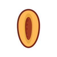 Freshly cut apricot fruit showing the seed inside vector