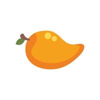 Fresh mango fruit with leaf still growing on branch vector
