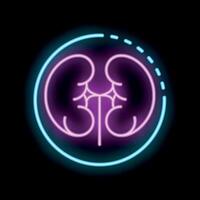 Neon sign representing a pair of kidneys in blue and pink colors on black background vector