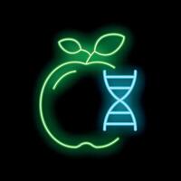 Neon icon of an apple showing its dna structure vector