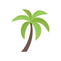 Green palm tree growing with lush leaves vector
