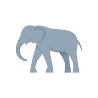Large african elephant walking with trunk raised in air vector