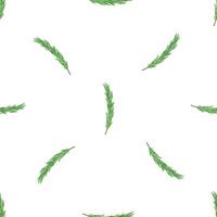 Seamless pattern with sprigs of fresh rosemary creating a culinary background vector