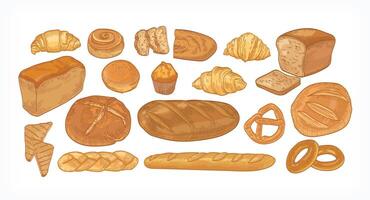 Set of breads and baked products of various types, shapes and sizes isolated on white background - loaf, bun, croissant, toast, muffin, pretzel. Hand drawn illustration in vintage style vector