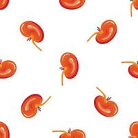 Seamless pattern of human kidneys maintaining water balance and filtering waste from blood vector