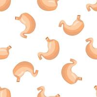 Seamless pattern with realistic human stomachs on white background vector