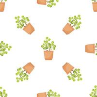 Potted jade plant creating a seamless pattern for nature lovers vector