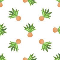 Seamless pattern with bird's nest fern houseplant in terracotta pot growing on white background vector