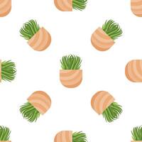 Seamless pattern of decorative grass growing in square pots on a white background vector