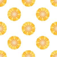 Seamless pattern of fresh corn on the cob slices creating a vibrant culinary background vector