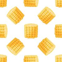 Seamless pattern of fresh corn cobs on white background vector