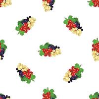 Seamless pattern with sprigs of red, white and black currants growing together vector