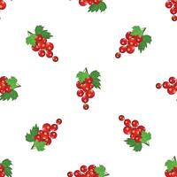 Seamless pattern with ripe red currant bunches hanging on green leaves vector