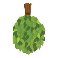 Round green bath broom for sauna relaxing experience vector