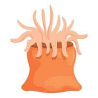 Orange sea anemone showing tentacles on white background vector