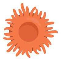 Sun coral polyp growing on tropical reef vector