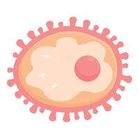 Chlamydia trachomatis bacteria showing elementary body and reticulate body stages vector