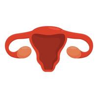 Female reproductive system showing uterus, fallopian tubes, and ovaries vector