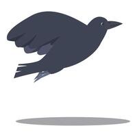 Black crow flying with spread wings and shadow vector